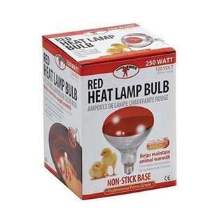 Brooder Heat Red Lamp Bulb 250 Watt