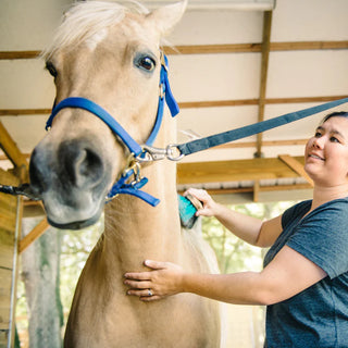 Horse Supplements & Health