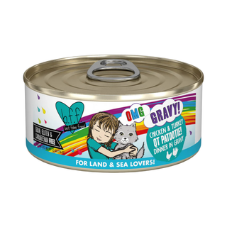 BFF Weruva QT Patootie Chicken & Turkey Wet Cat Food