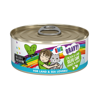BFF Weruva Selfie Cam Chicken & Lamb Wet Cat Food
