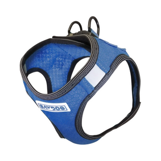 BayDog Liberty Bay Harness - Blue