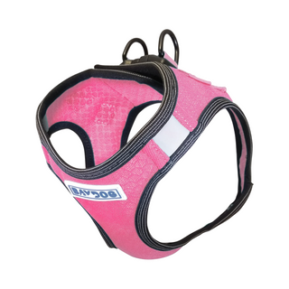 BayDog Liberty Bay Harness-Pink