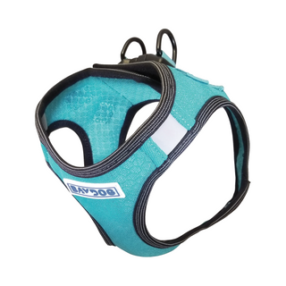BayDog Liberty Bay Harness - Teal