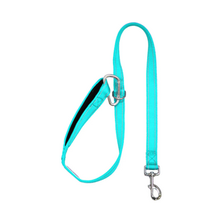 BayDog Hudson Leash