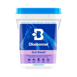 Bluebonnet Gut Reset Powder Horse Supplement