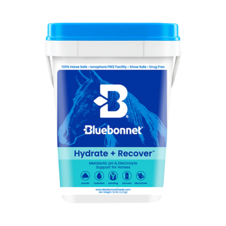 Bluebonnet Hydrate+ Recover Horse Supplement