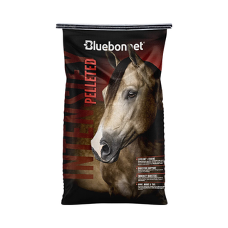 Bluebonnet Intensify Pelleted Horse Feed