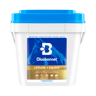 Bluebonnet Lifeline+ Horse Supplement