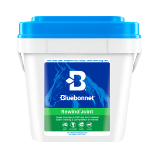 Bluebonnet Rewind Joint Horse Supplement