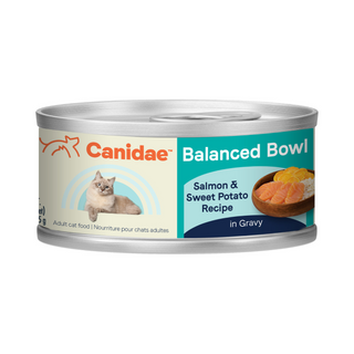 Canidae Cat Can-Salmon & Sweet Potato : 3oz