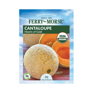 Cantaloupe Hearts of Gold Organic