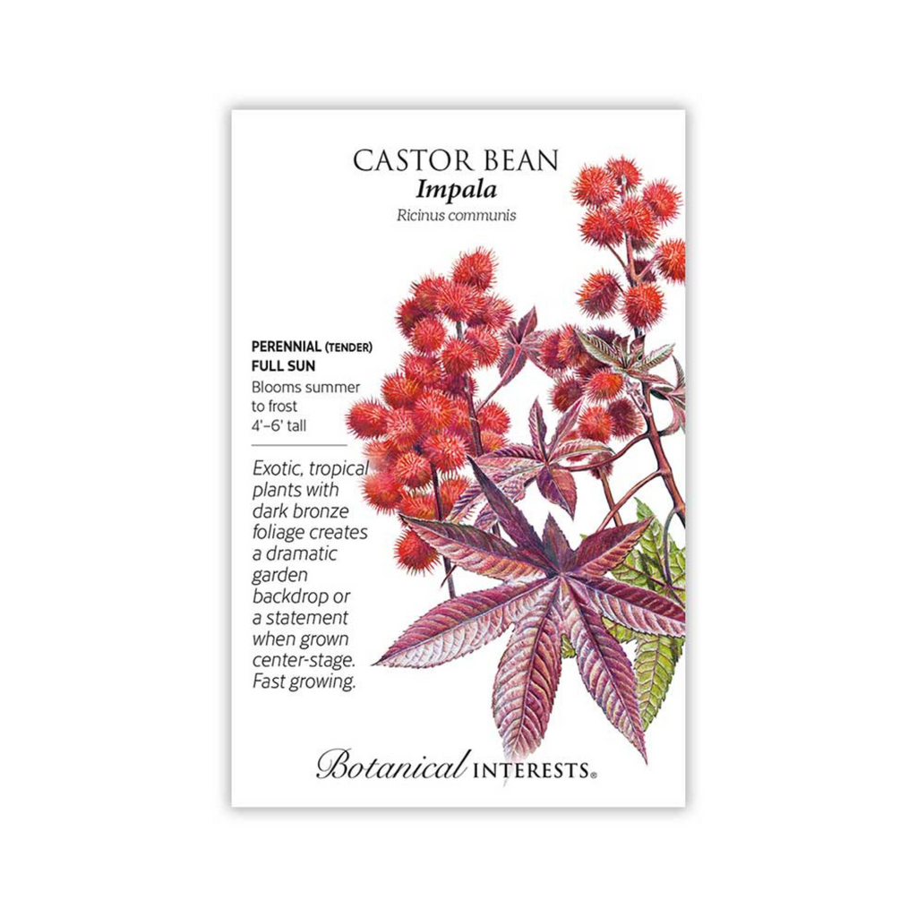 Castor Bean Impala – Pittsboro Feed