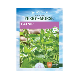 Catnip - Organic