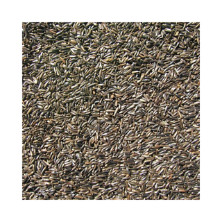 Cole's Niger Bird Seed