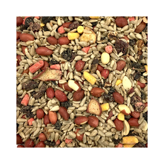 Cole's Nutberry Suet Blend Bird Seed