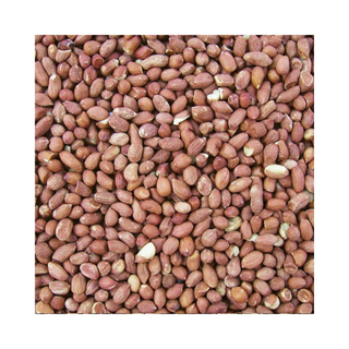 Cole's Raw Peanuts Bird Seed