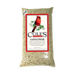 Cole's Safflower Bird Seed