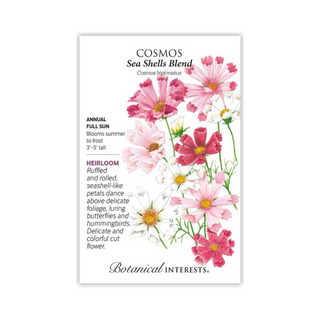 Cosmos Sea Shells Blend