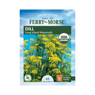 Dill - Mammoth Organic