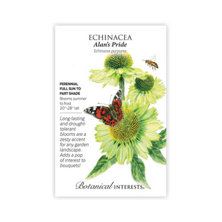 Echinacea Alan's Pride