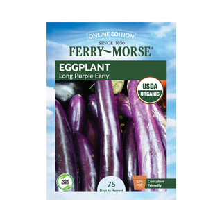 Eggplant Long Purple Early Organic