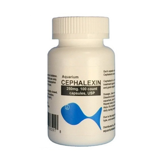 Fish Ceph - Cephalexin