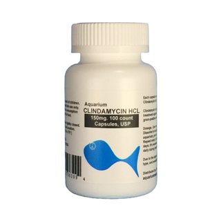 Fish Cin - Clindamycin