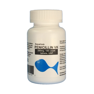 Fish Pen - Penicillin
