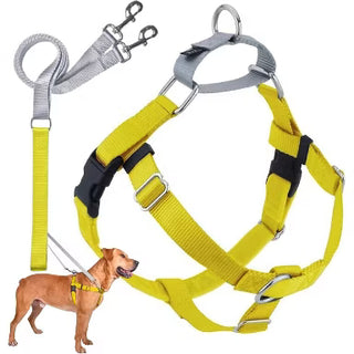 2 Hounds Design Yellow Freedom No-Pull Dog Harness with Training Leash