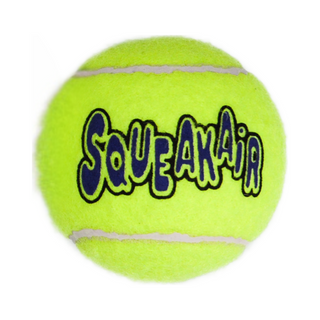 Kong SqueakAir