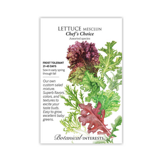 Lettuce Masclun Chef's Choice