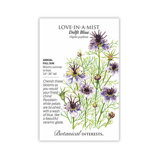 Love-In-A-Mist Delft Blue