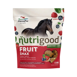 Manna Pro Nutrigood FruitSnax Berry Mint Horse Treats