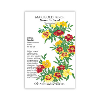Marigold French Favourite Blend