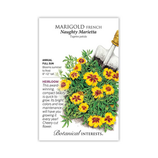 naughty marietta marigold seeds Marigold French Naughty Marietta – Pittsboro Feed