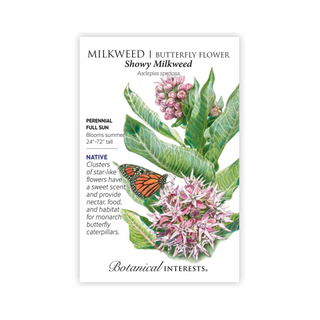 Milkweed Butterfly Flower Showy Milkweed