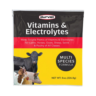 Multi Species Formula Vitamins & Electrolytes