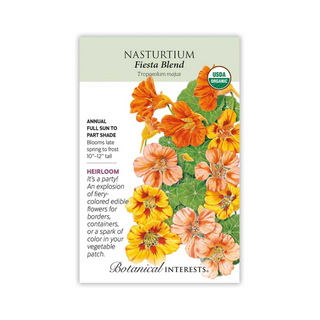 Nasturtium Fiesta Blend