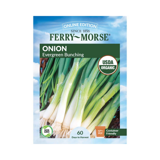 Onion Evergreen Bunching Organic