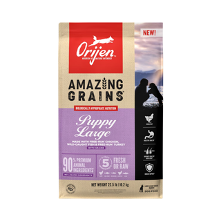 Orijen Amazing Grains High-Protein Puppy Large Breed Dry Dog Food
