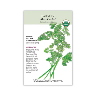 Parsley Moss Curled Organic