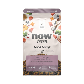 Petcurean NOW Fresh Good Gravy Adult Salmon w/ Ancient Grains Dry Dog Food