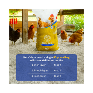 Premium Chicken Sand