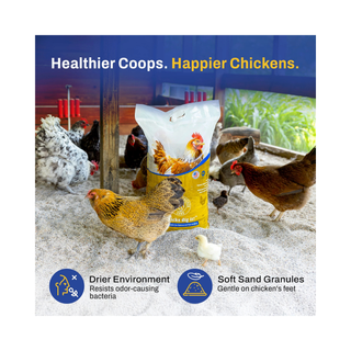 Premium Chicken Sand