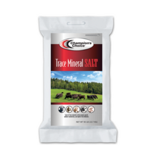 Trace Mineral Loose Salt Bag - Pittsboro Feed