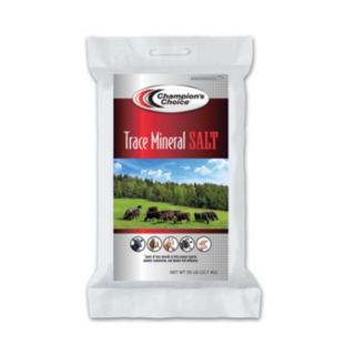 Trace Mineral Loose Salt Bag