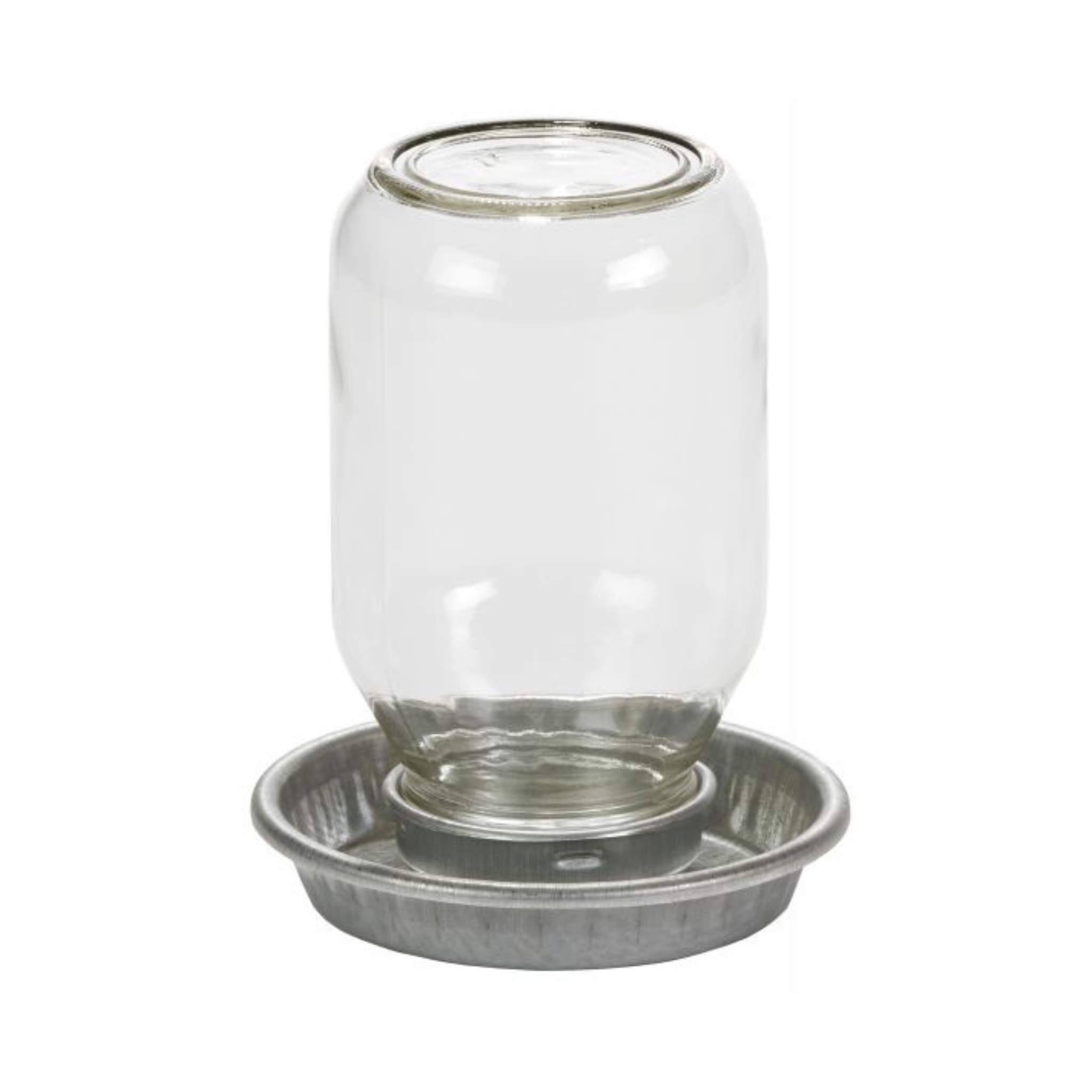Mason Jar Baby Chick Waterer