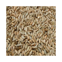 Rye Grain / Forage Cover Crop
