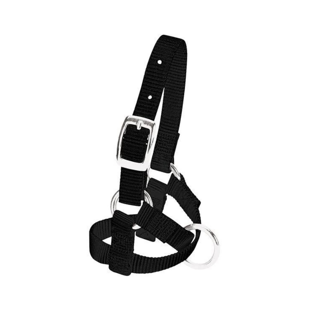 Señal Hecha En Ee.uu. Rayas Rojas, Rayas Blancas Y Estrellas En Campo Azul Recortadas Formar Circulo Texto Alrededor Version Blanco Negro Color 31066446