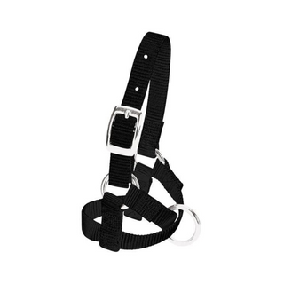 Alpaca Halter - Pittsboro Feed